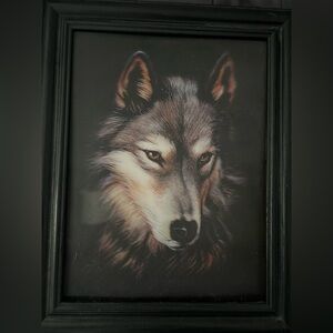 3D Wolf picture
